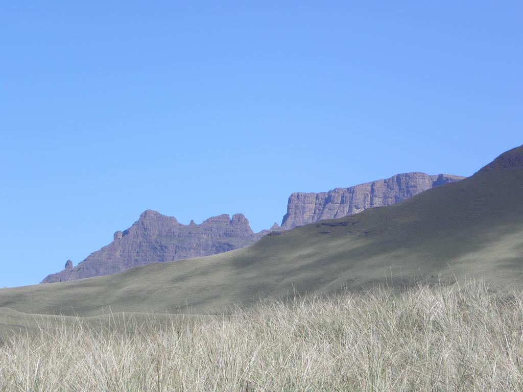 Little Acres Drakensberg Accommodation Champagne Valley Dış mekan fotoğraf