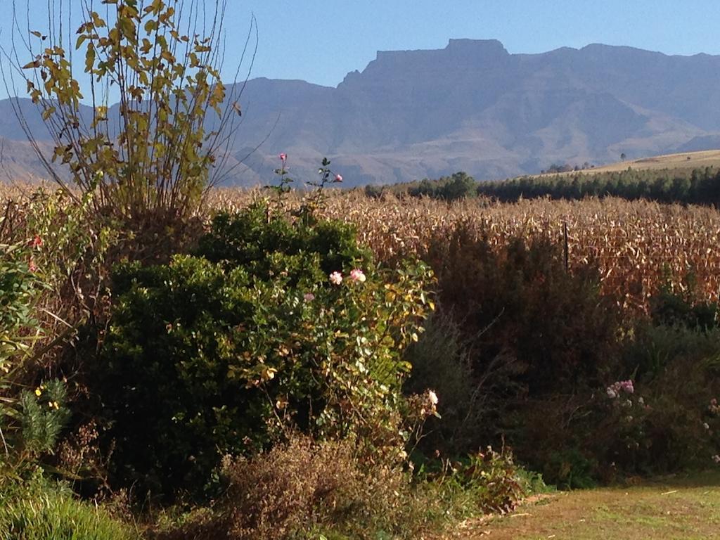 Little Acres Drakensberg Accommodation Champagne Valley Dış mekan fotoğraf